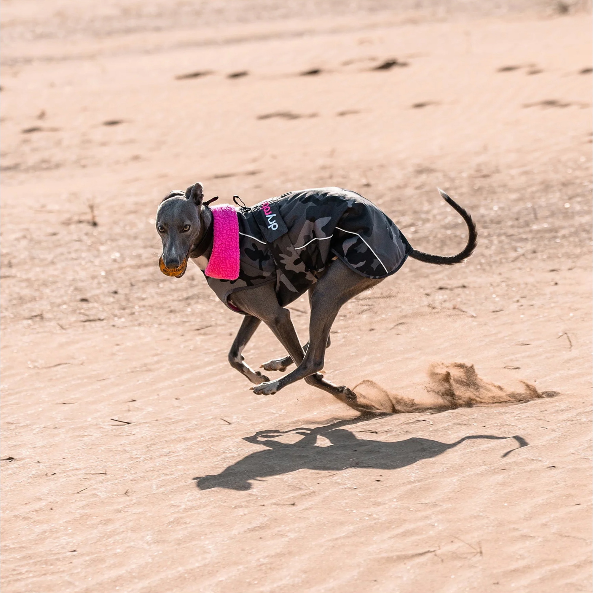 2026 Dryrobe Dog Coat V3DRDC - Black Camo / Pink